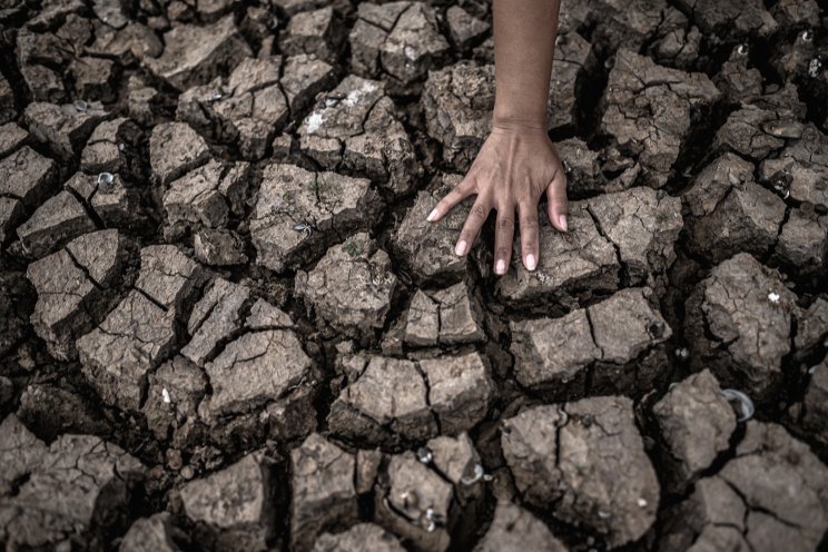 The water crisis and need for farming solutions The water crisis and need for farming solutions