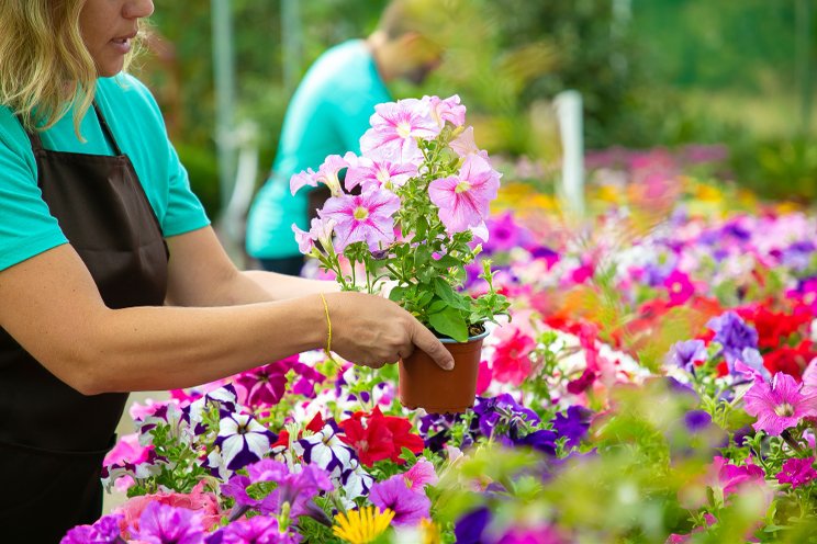 Monrovia joins ThinkPlants at CAST Display