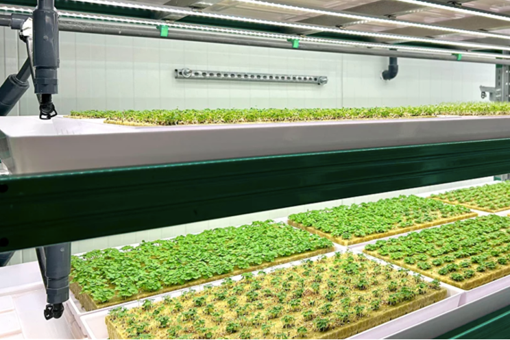 iFarm Multigreens: The new versatile tech for VF