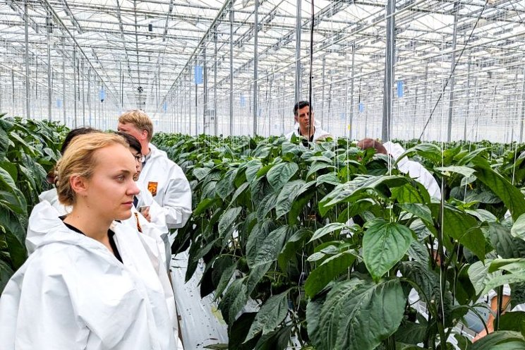 When tech companies and universities team up, growers succeed