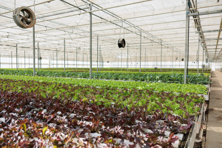 WWT enters the market in Angola with a first smart irrigation project