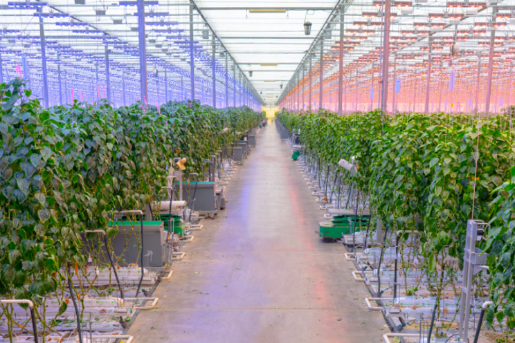 Six tech trends that will drive future grower success