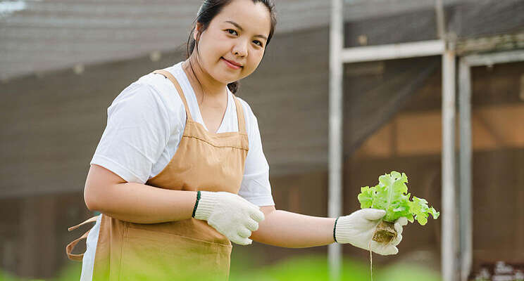Hydroponic vertical farming company sets terms for IPO Hydroponic vertical farming company sets terms for IPO