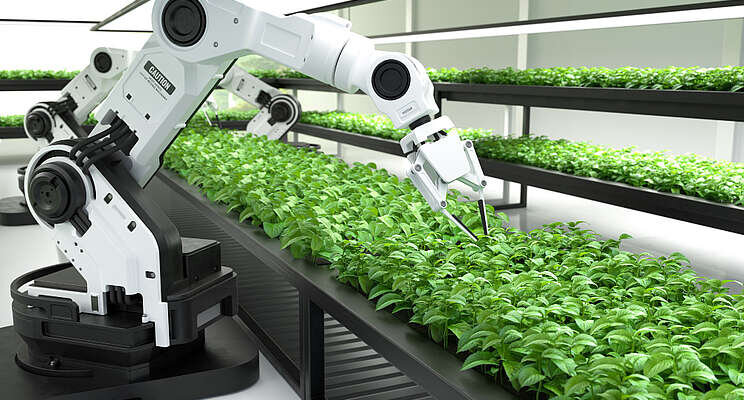 Robot fruit pickers to stop Britons going hungry Robot fruit pickers to stop Britons going hungry
