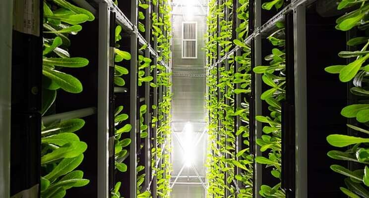 17 biggest companies in vertical farming today 17 biggest companies in vertical farming today
