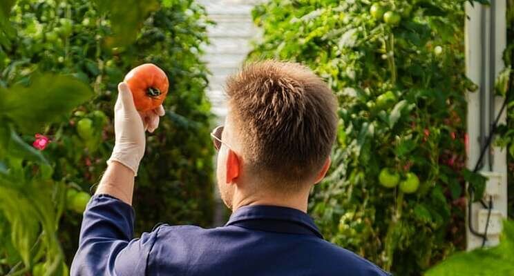 Korean-funded Php100 M smart greenhouse in Bukidnon Korean-funded Php100 M smart greenhouse in Bukidnon