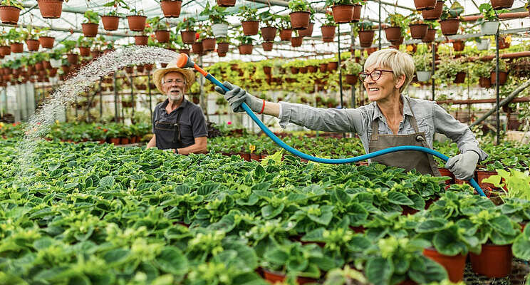 How to start winning with your plant sales forecast How to start winning with your plant sales forecast