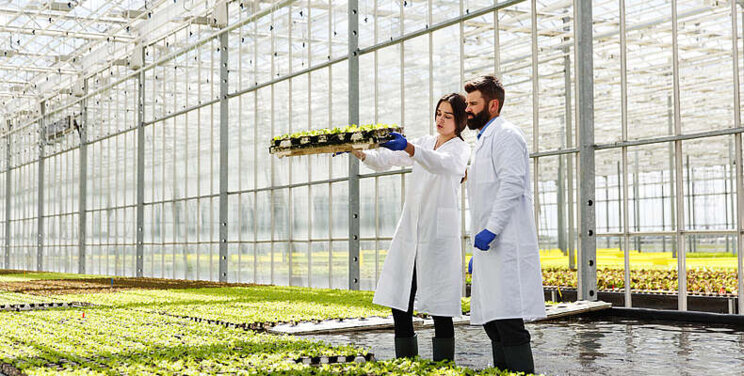100 times more productive than traditional agriculture? 100 times more productive than traditional agriculture?