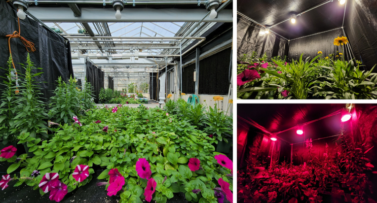 Why white LEDs may be a cost-effective lighting option Why white LEDs may be a cost-effective lighting option