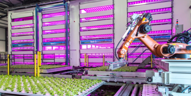 PlantLab's patent for indoor farming reaffirmed PlantLab's patent for indoor farming reaffirmed