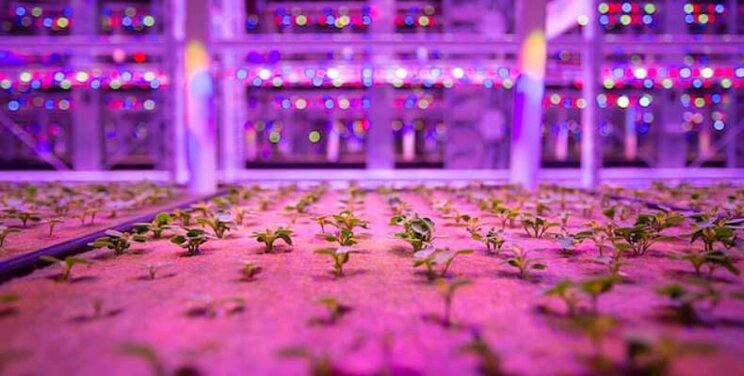 VertiFarm for vertical farming and new food systems ready to begin