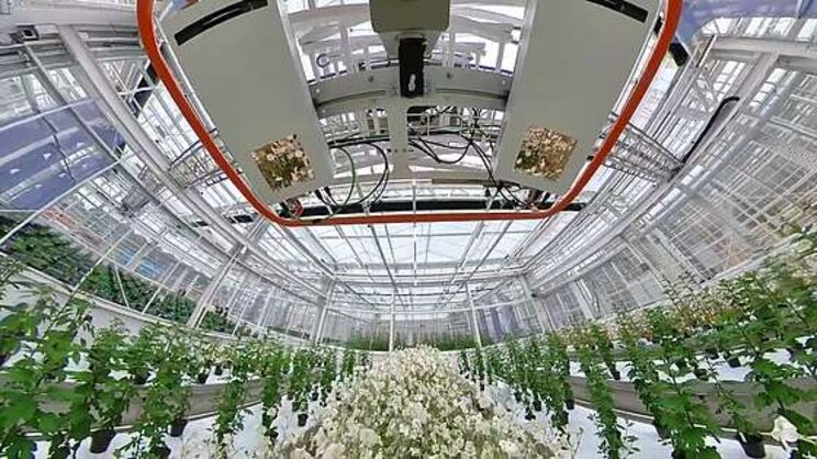 Fluence selected as supplemental lighting solution for WUR Fluence selected as supplemental lighting solution for WUR