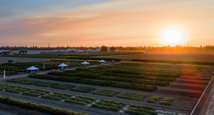 Bayer's Woodland Research Facility celebrates 50 years