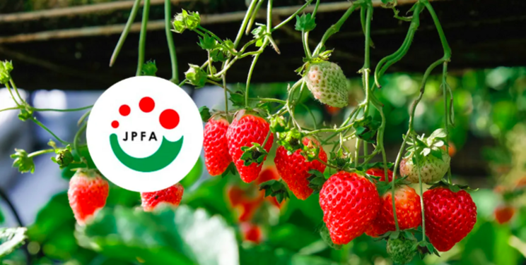 Japan Plant Factory Association holds strawberry course Japan Plant Factory Association holds strawberry course
