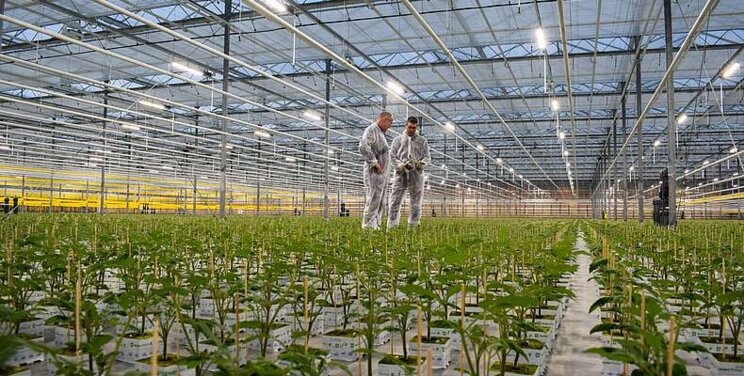 Fluence collaboration with Dutch propagator Fluence collaboration with Dutch propagator