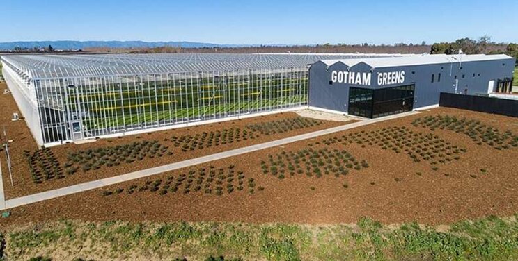 Gotham Greens raises more than $310 million in new capital Gotham Greens raises more than $310 million in new capital