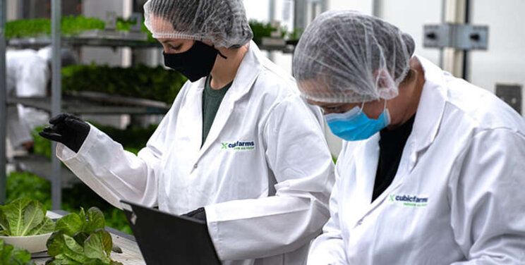 CubicFarm announces $6.25 M senior secured term loan CubicFarm announces $6.25 M senior secured term loan