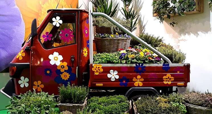 IEG takes majority stake in Myplant&Garden organiser IEG takes majority stake in Myplant&Garden organiser