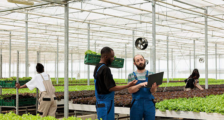 How data automation can reduce grower labor concerns How data automation can reduce grower labor concerns