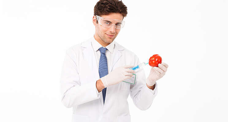 Resilient Tomato Virus frustrates growers Resilient Tomato Virus frustrates growers