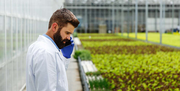 Brush up on your greenhouse diseases knowledge Brush up on your greenhouse diseases knowledge