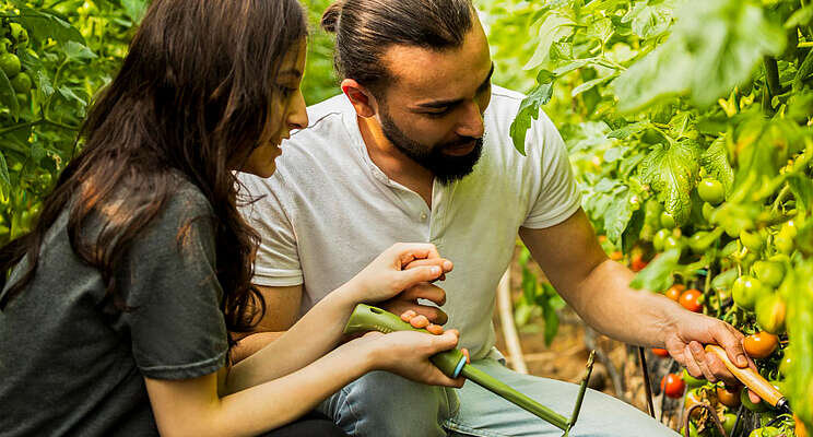 Costa Farms focus on connecting indoor plant buyers Costa Farms focus on connecting indoor plant buyers