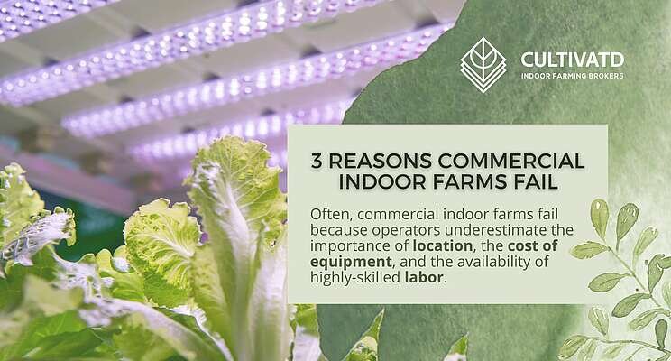 3 reasons why commercial indoor farms fail 3 reasons why commercial indoor farms fail