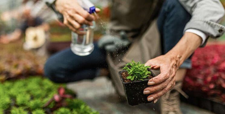 95% greenhouse crops were biologically controlled 95% greenhouse crops were biologically controlled