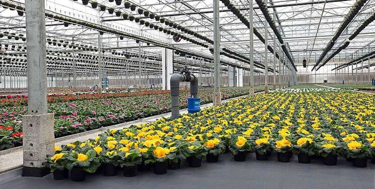 R-evolution of the cultivation floor R-evolution of the cultivation floor