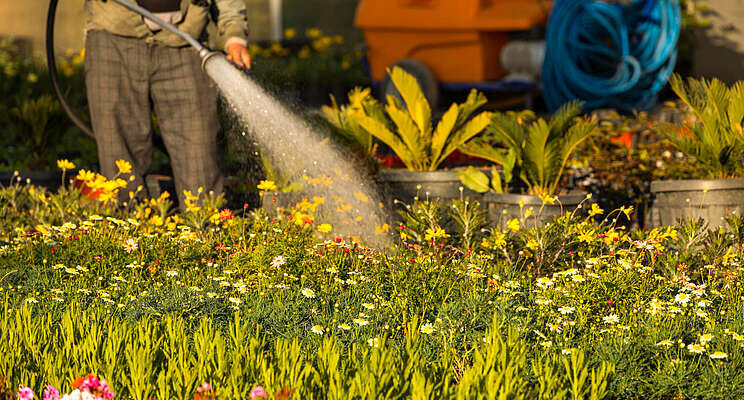 Growers to brace themselves for more H-2A regulations Growers to brace themselves for more H-2A regulations