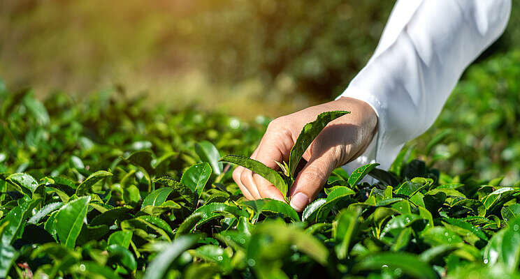 Feds invest $1.8 million in green economy Feds invest $1.8 million in green economy