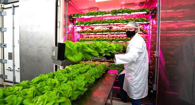 CubicFarm announces cost reduction measures CubicFarm announces cost reduction measures