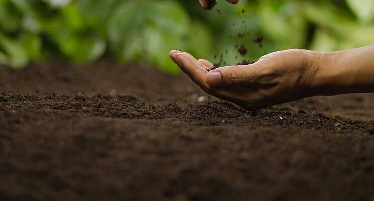 Soil matters for our future, so does investment in research Soil matters for our future, so does investment in research