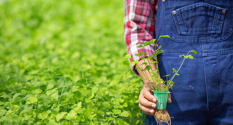 Scotland grants £200m to 150 agriculture projects Scotland grants £200m to 150 agriculture projects