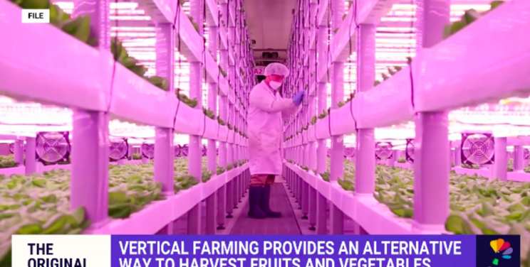 Vertical farming provides alternative way to grow produce Vertical farming provides alternative way to grow produce