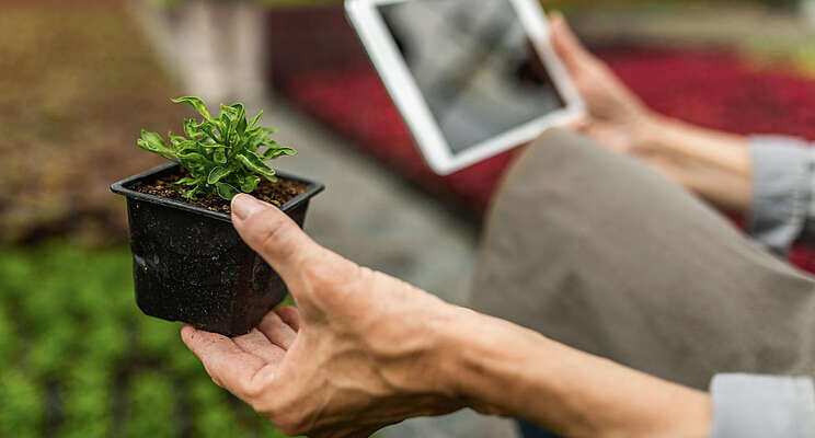 Software to address greenhouse supply chain concerns Software to address greenhouse supply chain concerns
