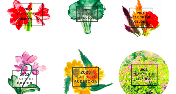 Plan Ahead! National Garden Bureau rolls out six plant classes Plan Ahead! National Garden Bureau rolls out six plant classes