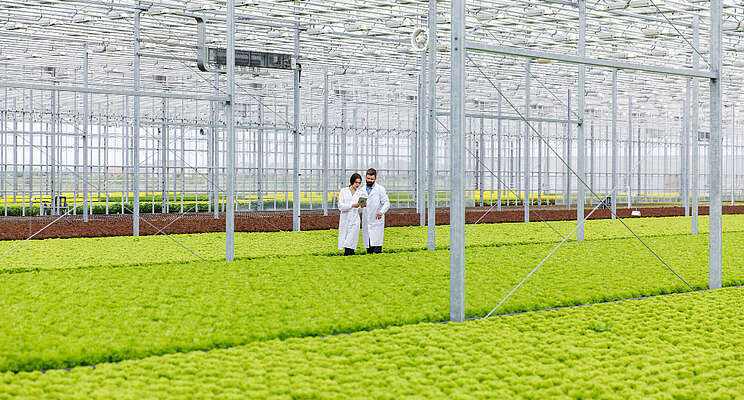 Kaufland opens sustainable greenhouse Kaufland opens sustainable greenhouse