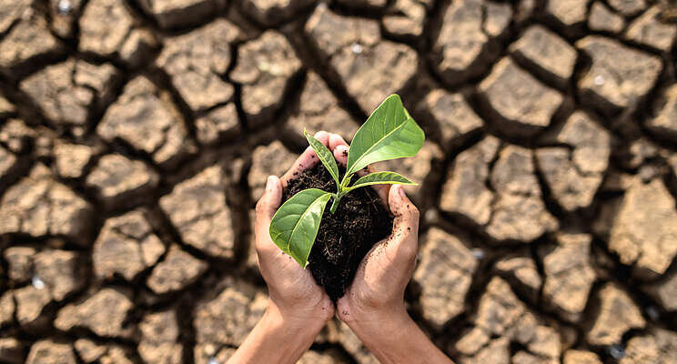 How can urban agriculture mitigate climate change How can urban agriculture mitigate climate change