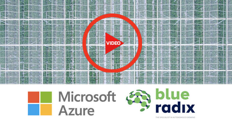 Microsoft promotes collaboration Blue Radix in international video Microsoft promotes collaboration Blue Radix in international video