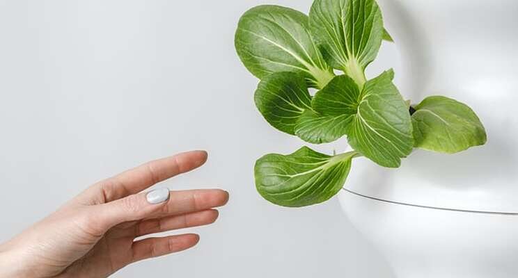 Finnish agritech startup with VF tech raises €150K seed Finnish agritech startup with VF tech raises €150K seed