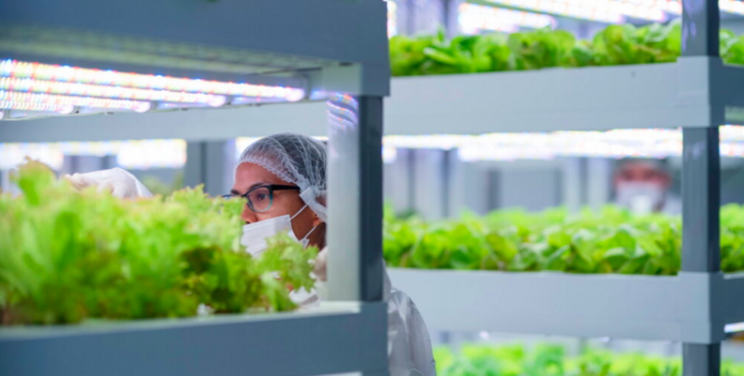 Chile's carbon neutral plan: Soil-free farming & solar agri Chile's carbon neutral plan: Soil-free farming & solar agri