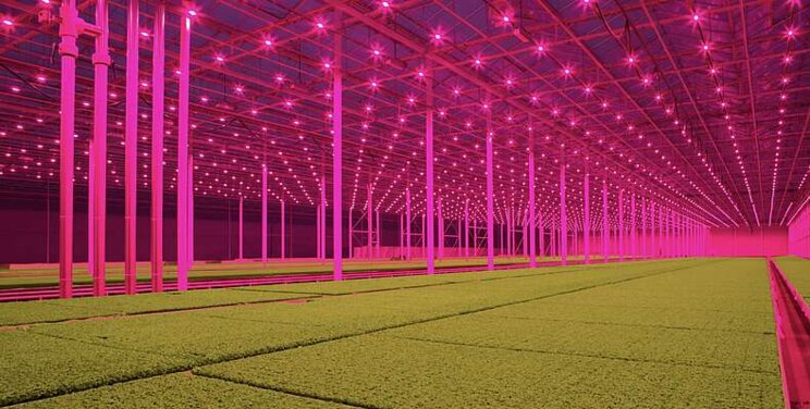 Water-cooled LEDs are essential to any expansion Water-cooled LEDs are essential to any expansion