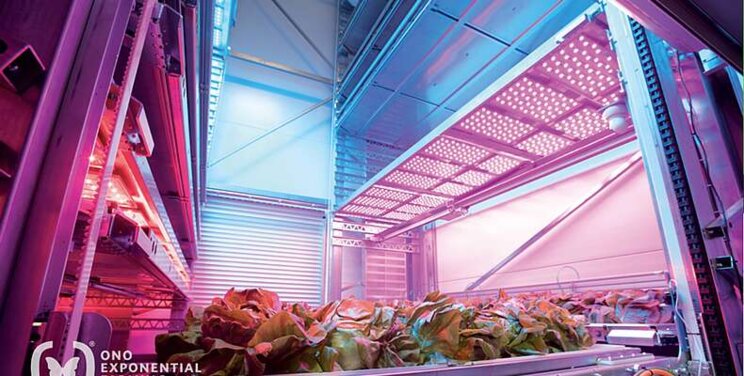 ONO/EF expands to the Americas with Cultivatd ONO/EF expands to the Americas with Cultivatd