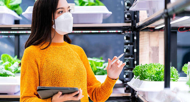 Growing up: indoor warehouse farms make inroads Growing up: indoor warehouse farms make inroads