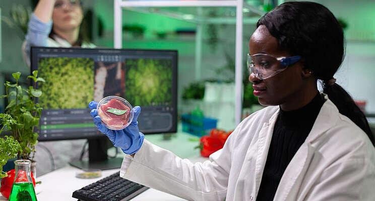 Here's how lab-grown meat can reduce GHG emissions Here's how lab-grown meat can reduce GHG emissions