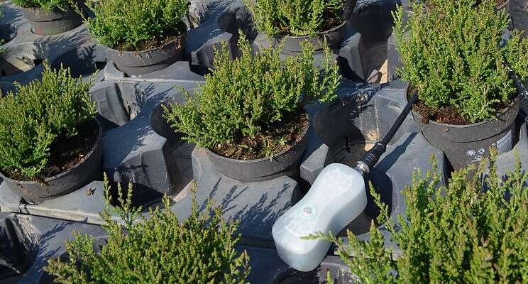 Sensors warn grower in case of water shortage Sensors warn grower in case of water shortage