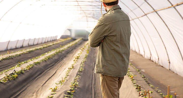 New greenhouse boosts production for local food banks New greenhouse boosts production for local food banks