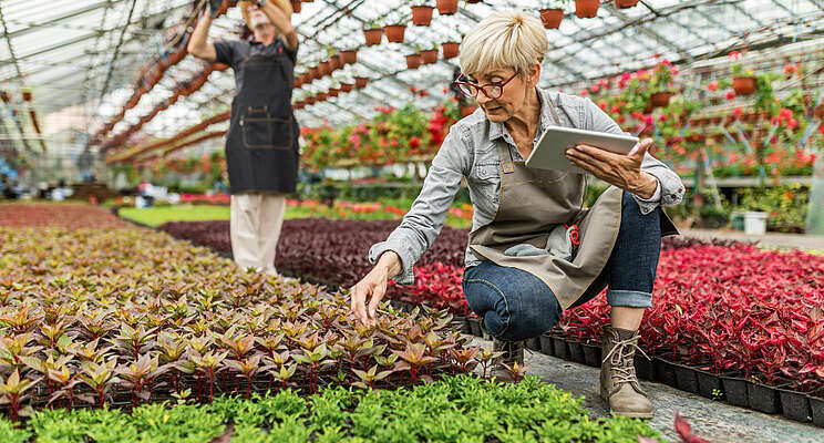 Flowerwood Nursery thrives with hard work and dedication Flowerwood Nursery thrives with hard work and dedication