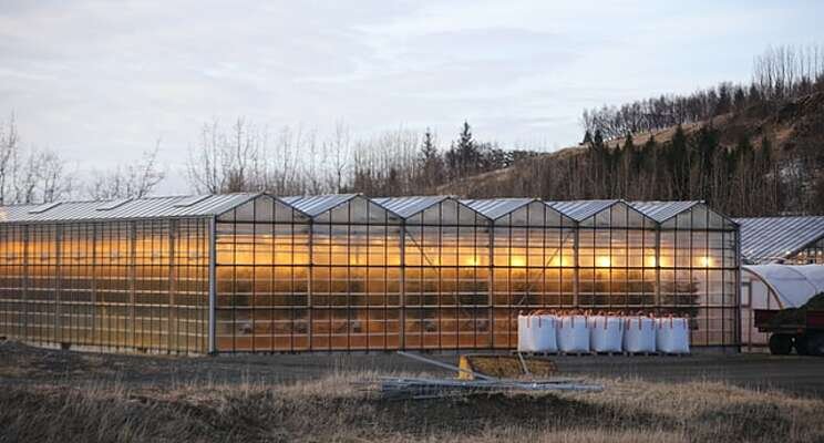 Greenhouses revolutionize farming at what cost? Greenhouses revolutionize farming at what cost?